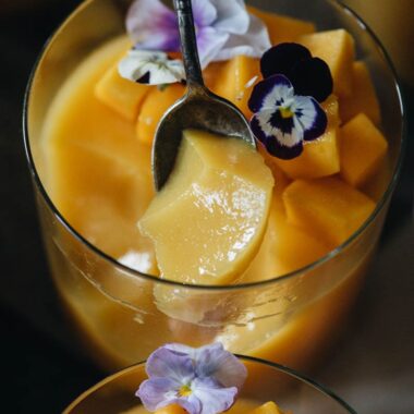 Texture of vegan mango pudding