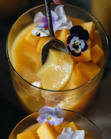 Texture of vegan mango pudding