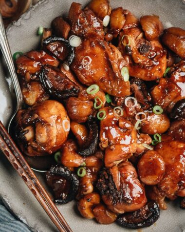 Braised chicken closeup