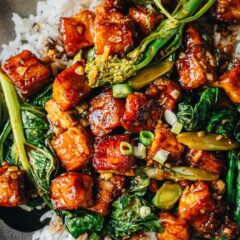 General Tso Tofu over rice close up