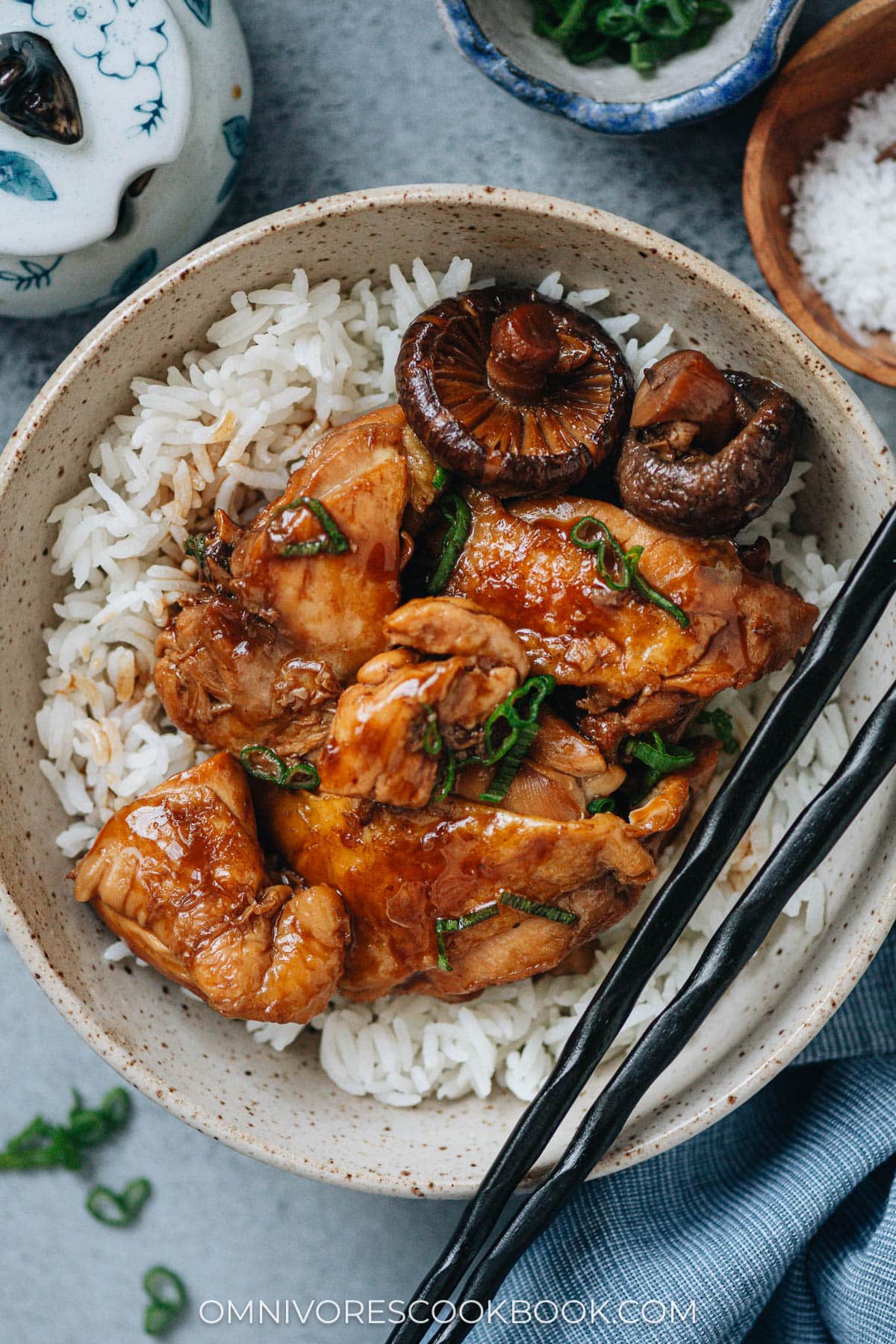 Chinese braised chicken over rice