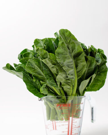 Chinese Broccoli | Omnivore's Cookbook