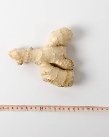 ginger | Omnivore's Cookbook