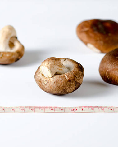 Shiitake mushroom | Omnivore's Cookbook