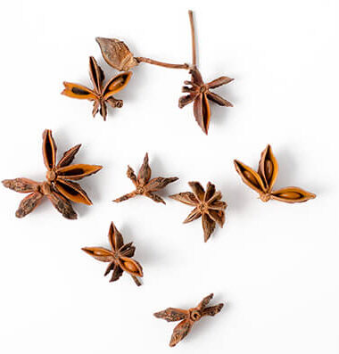 Star Anise | Omnivore's Cookbook