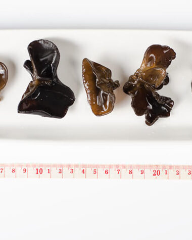Wood Ear | Omnivore's Cookbook